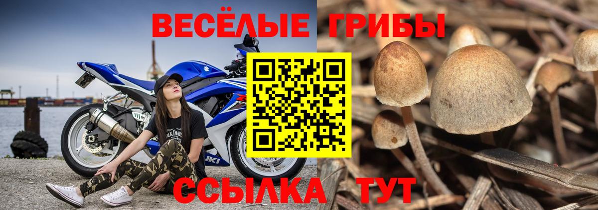наркота  Вход с VPN  Копейск  Псилоцибиновые грибы GOLDEN TEACHER  Псилоцибиновые грибы мухоморы 