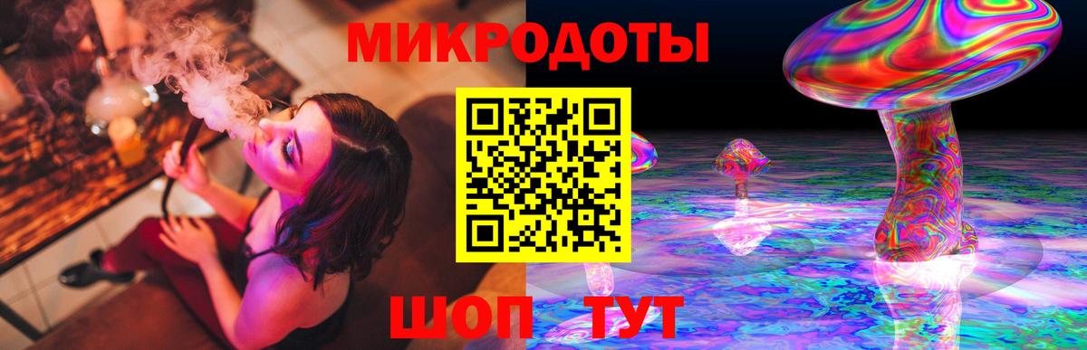Псилоцибиновые грибы Psilocybine cubensis Копейск